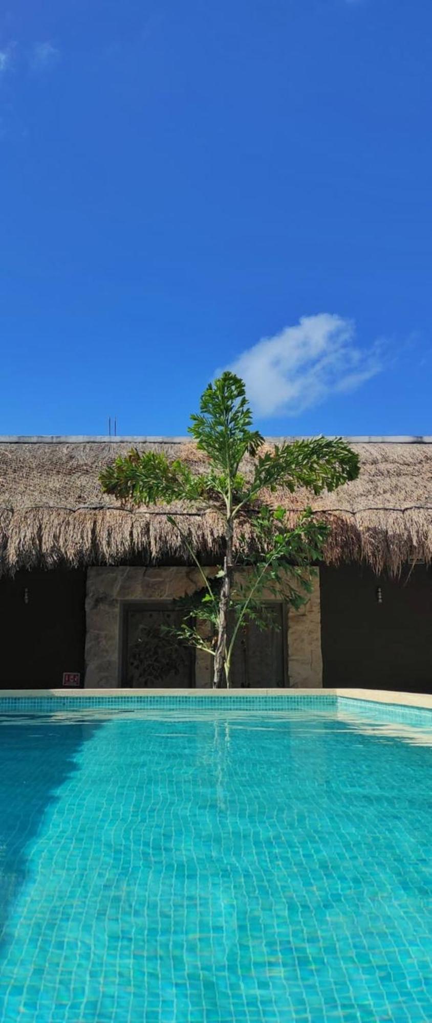 Hotel Sonno Cielito Tulum Exteriér fotografie